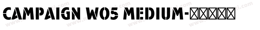 Campaign W05 Medium字体转换